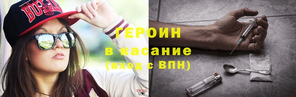 гашик Алексин