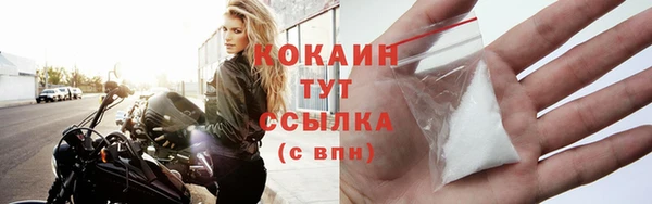твердый Абаза